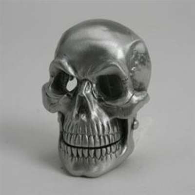 2PC Skull Extreme 3/D Buckle