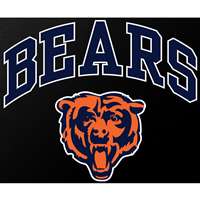 Chicago Bears Full Color Die Cut Transfer Decal - 6" x 6"