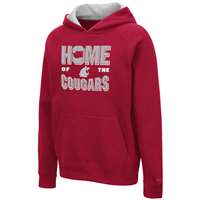 Washington State Cougars Youth Colosseum Pesto Pullover Hoodie