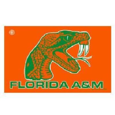 Florida A & M 3 X 5 Flag