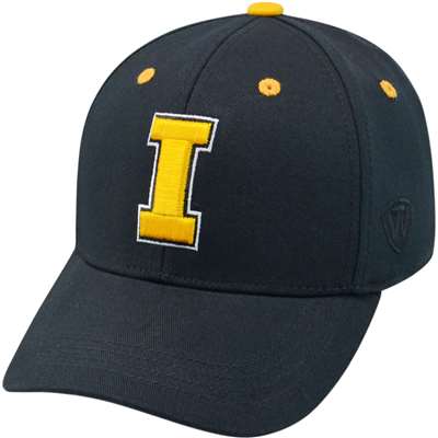 Iowa Hawkeyes Top of the World Rookie One-Fit Youth Hat - Black