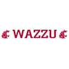 Washington State Cougars Windshield Decal - Wazzu - 20" x 2.75"