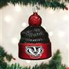 Wisconsin Badgers Glass Christmas Ornament - Beanie