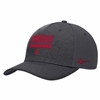 Nike Washington State Cougars Dri-FIT Sideline Ris
