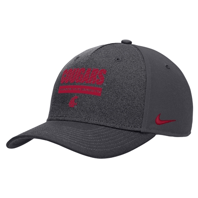 Nike Washington State Cougars Dri-FIT Sideline Ris
