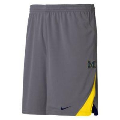 Michigan Nike Training Shorts