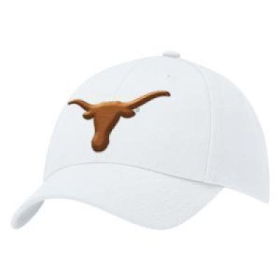 Texas Nike Swoosh Flex Hat