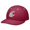 Washington State Nike Fitted Cap