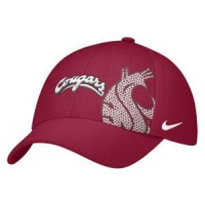 Washington State Nike Stone Swoosh Flex Hat