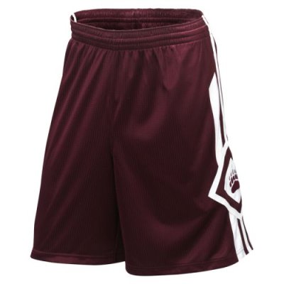 Nike Montana Grizzlies In Your Face Short