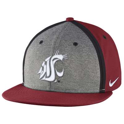 Nike Washington State Cougars Sideline True Flat Bill Hat