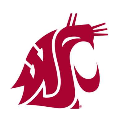 Washington State Cougars 3" x 4" Transfer Decal - Crimson