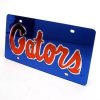 Florida Inlaid Acrylic License Plate -blue Background