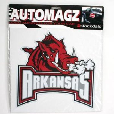 Arkansas Auto Magnet