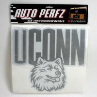 Connecticut Perforated Vinyl Window Decal