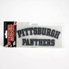 Pittsburgh Panthers Decal