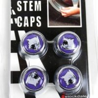 Northwestern Valve Stem Caps