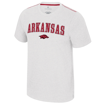 Arkansas Razorbacks Colosseum Carmy T-Shirt - Whit
