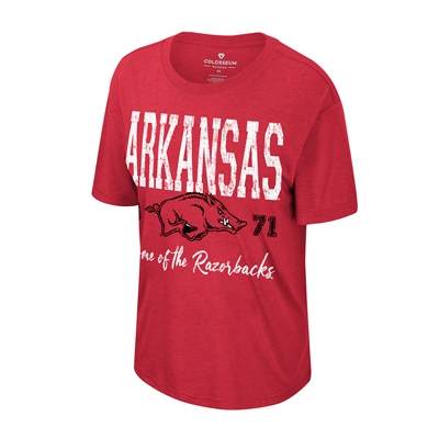 Arkansas Razorbacks Womens Colosseum Ever Oversize