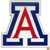 Arizona Wildcats Fan Pin