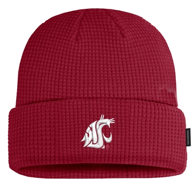 Nike Washington State Cougars Team Waffle Beanie