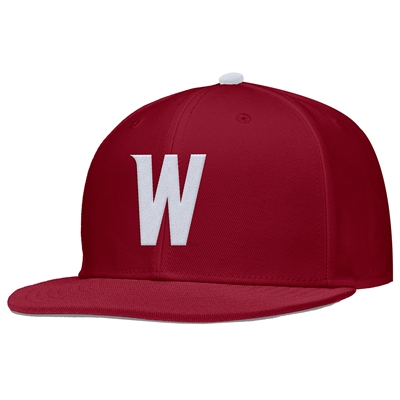 Nike Washington State Cougars Team Issue Fitted Ba