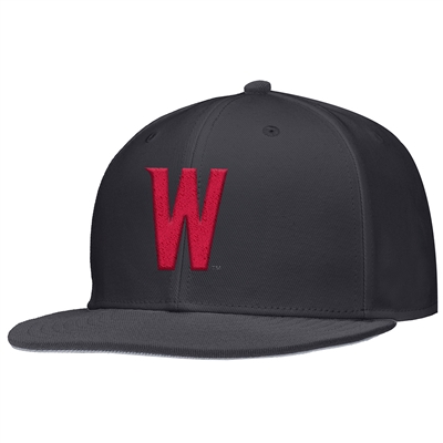Nike Washington State Cougars Team Issue Fitted Ba