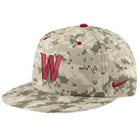Nike Washington State Cougars Aero True Fitted Bas