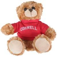 Cornell Big Red Stuffed Bear