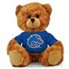 Boise State Broncos Stuffed Bear