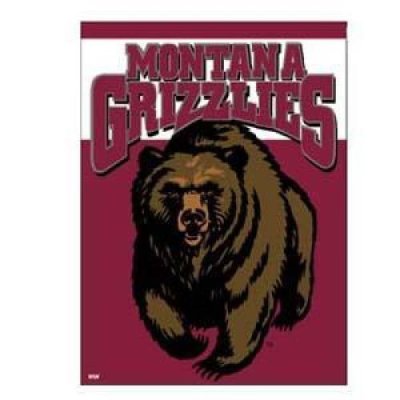 Montana Banner/vertical Flag 27