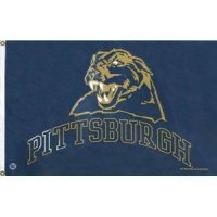 Pittsburgh Panthers 3 X 5 Banner Flag