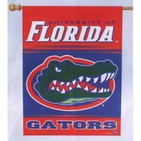 Florida Banner/vertical Flag 27
