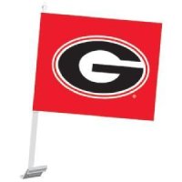 Georgia Car Flag