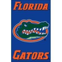 Florida 2-sided Applique 44" X 28" Banner