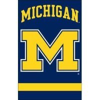 Michigan 2-sided Applique 44" X 28" Banner