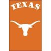 Texas 2-sided Applique 44" X 28" Banner