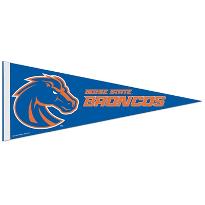 WinCraft Boise State Broncos College Vault and Throwback Pennant 
