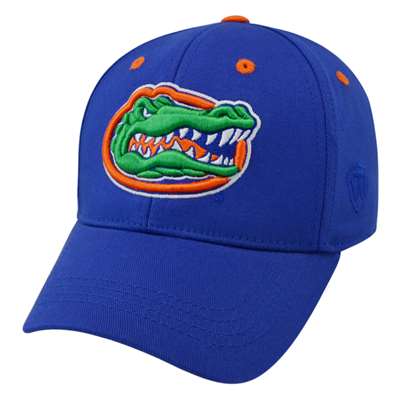 Florida Gators Top of the World Rookie One-Fit Youth Hat