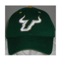 South Florida One-fit Hat By Top Of The World