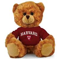 Harvard Crimson Stuffed Bear