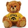 Iowa Hawkeyes Stuffed Bear