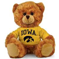 Iowa Hawkeyes Stuffed Bear