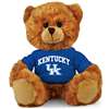 Kentucky Wildcats Stuffed Bear
