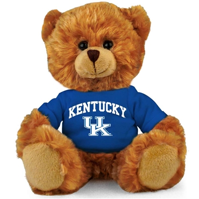 Kentucky Wildcats Stuffed Bear - 11"