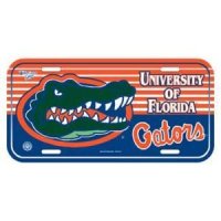 Florida Plastic License Plate