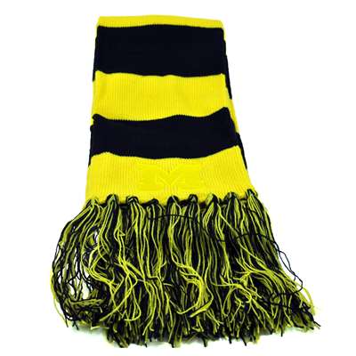Michigan Wolverines Top of the World Stripe Scarf
