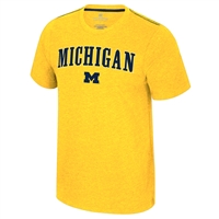 Michigan Wolverines Colosseum Carmy T-Shirt - Yell