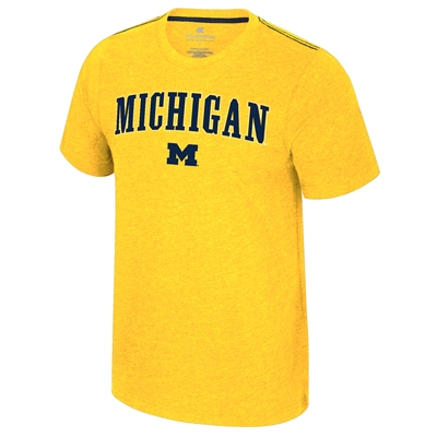 Michigan Wolverines Colosseum Carmy T-Shirt - Yell