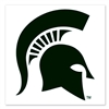 Michigan State Spartans Temporary Tattoo - 4 Pack